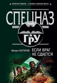 Если враг не сдается - Нестеров Михаил Петрович