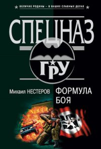 Формула боя - Нестеров Михаил Петрович