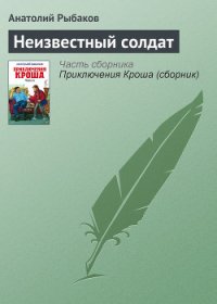 Неизвестный солдат - Рыбаков Анатолий Наумович