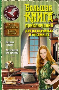 Большая книга приключений для находчивых и отважных (сборник) - Волынская Илона