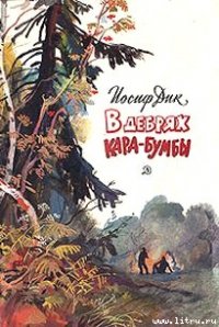 В дебрях Кара-Бумбы - Дик Иосиф Иванович
