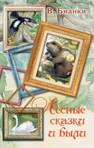 Лесные сказки и были (сборник) - Бианки Виталий Валентинович