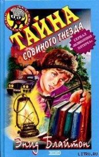 Тайна совиного холма - Блайтон Энид