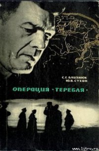 В лабиринте замершего города - Близнюк Семен