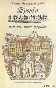 Тройка неразлучных, или Мы, трое чудаков - Боржковцова Гана