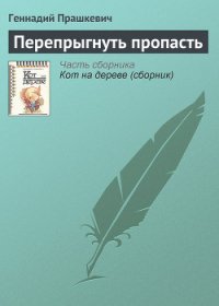 Перепрыгнуть пропасть - Прашкевич Геннадий Мартович