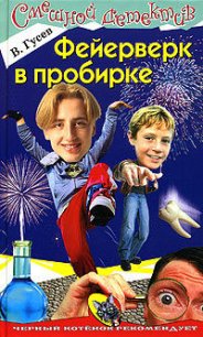 Фейерверк в пробирке - Гусев Валерий Борисович