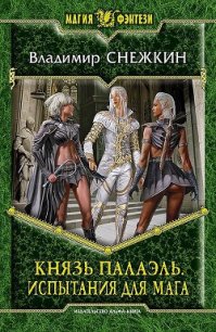 Испытания для мага - Снежкин Владимир