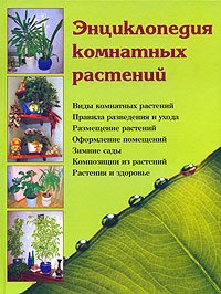 Энциклопедия комнатных растений - Логачева Наталья Ивановна