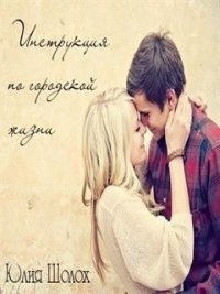 Инструкция по городской жизни (СИ) - Шолох Юлия