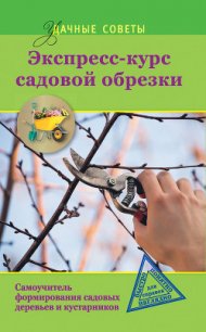Экспресс-курс садовой обрезки - Окунева Ирина Борисовна