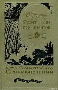 Похитители бриллиантов - Буссенар Луи Анри