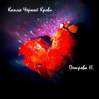 Другая сторона северной пальмиры: Капля черной крови. - Петрова Надежда