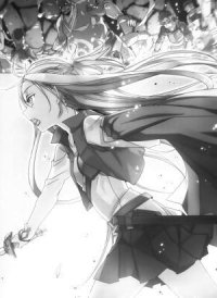 Sword Art Online. Ария в беззвездной ночи - Кавахара Рэки