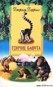 Гончие Бафута - Даррелл Джеральд