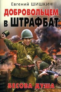 Добровольцем в штрафбат. Бесова душа - Шишкин Евгений Васильевич