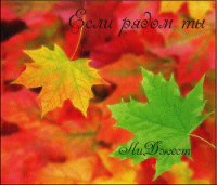 Если рядом ты (СИ) - Джест Ли