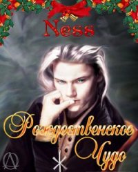 Рождественское чудо (СИ) - Ness Nati