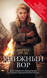 Книжный вор - Мезин Николай