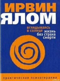 Вглядываясь в солнце. Жизнь без страха смерти - Петренко А. С.