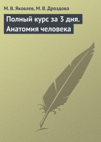 Нормальная анатомия человека: конспект лекций - Яковлев М. В.