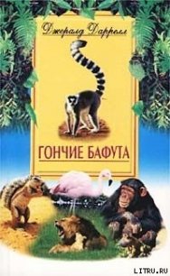 Гончие Бафута - Даррелл Джеральд
