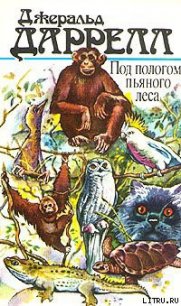 Под пологом пьяного леса - Даррелл Джеральд
