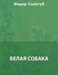 Белая собака - Сологуб Федор Кузьмич "Тетерников"