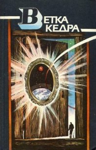 Ветка кедра - Костман Олег