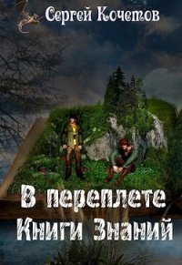 В переплете Книги Знаний (СИ) - Кочетов Сергей