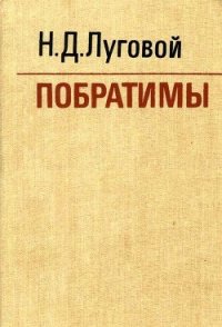 Побратимы (Партизанская быль) - Луговой Николай Дмитриевич