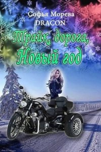 Трайк, дорога, Новый Год (СИ) - Морева Софья "Dracon"