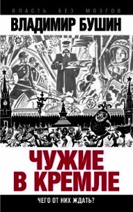 Чужие в Кремле. Чего от них ждать? - Бушин Владимир Сергеевич
