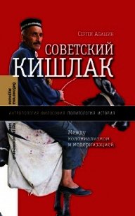 Советский кишлак. Между колониализмом и модернизацией - Абашин Сергей