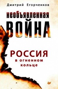 Необъявленная война. Россия в огненном кольце - Егорченков Дмитрий
