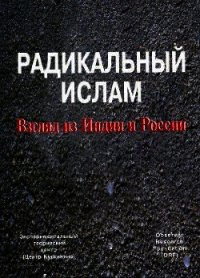 Радикальный ислам. Взгляд из Индии и России - Кургинян Сергей Ервандович