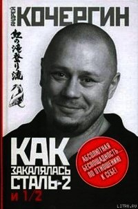 Как закалялась сталь 2 и 1/2 - Кочергин Андрей Николаевич