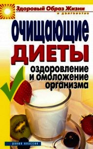 Очищающие диеты. Оздоровление и омоложение организма - Бебнева Юлия Владимировна