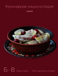 Кулинарная энциклопедия. Том 4. Б-В (Брусника – Венгерские клёцки) - Бондаренко Надежда