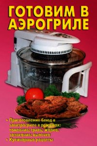 Готовим в аэрогриле - Кожемякин Р. Н.