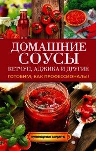 Домашние соусы. Кетчуп, аджика и другие - Доброва Елена Владимировна