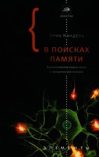 В поисках памяти - Кандель Эрик Ричард