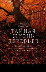 Тайная жизнь деревьев. Что они чувствуют, как они общаются – открытие сокровенного мира - Вольлебен Петер