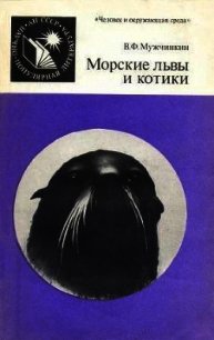 Морские львы и котики - Мужчинкин Вадим Федорович