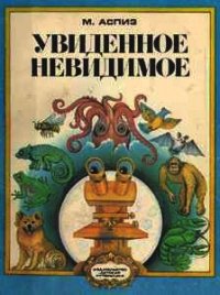Увиденное невидимое - Аспиз Мирра Евсеевна