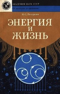 Энергия и жизнь - Печуркин Николай Савельевич