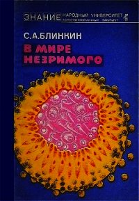 В мире незримого - Блинкин Семен Александрович