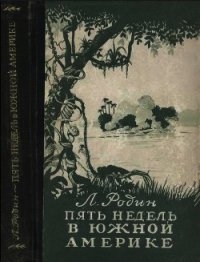 Пять недель в Южной Америке - Родин Леонид Ефимович