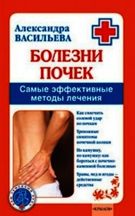 Болезни почек. Самые эффективные методы лечения - Васильева Александра