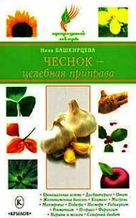 Чеснок – целебная приправа - Башкирцева Нина Анатольевна